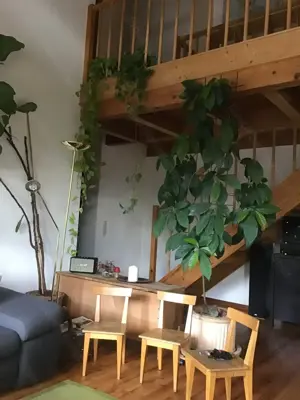 Sehr gemütliche, großzügige Wohnung in zentraler Lage in Gisingen zu vermieten Bild 8