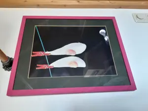 Bild  "Spiegeleier"