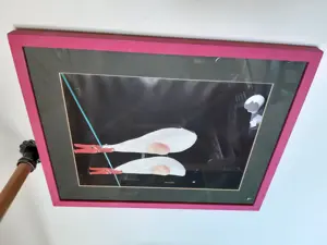 Bild  "Spiegeleier" Bild 2