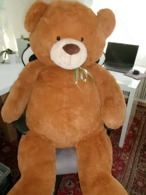 Teddybär - 120 cm groß  Bild 4