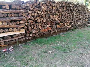 Brennholz hart Rundlinge zum Teil Gespalten  Bild 2