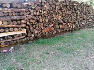 Brennholz hart Rundlinge zum Teil Gespalten 