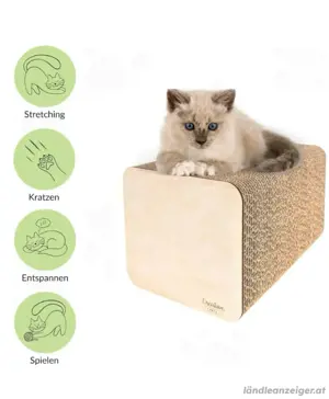 Kratzmöbel Katze
