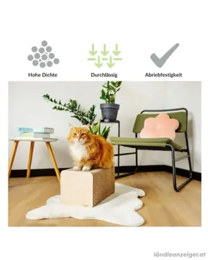 Kratzmöbel Katze Bild 2