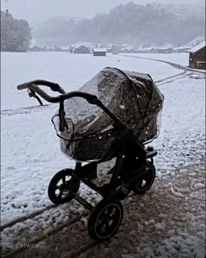 TFK Kinderwagen Mono2 classic Bild 3