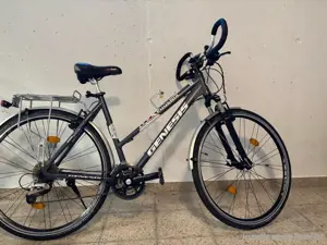 Damenfahrrad