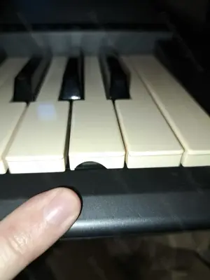 Keyboard inkl. Ständer und Sitz günstig abzugeben Bild 4