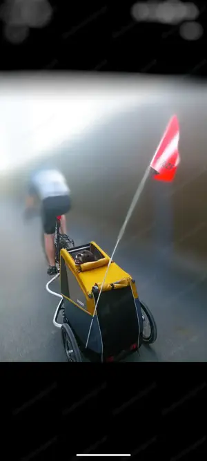 Croozer Hundeanhänger  Bild 2