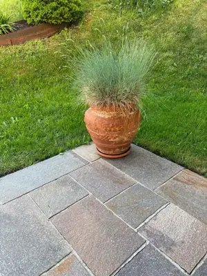 Terrakotta Bumentopf mit Inhalt 