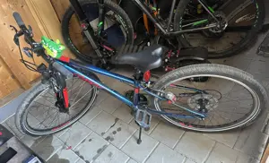 Kinderfahrrad 24 Zoll 