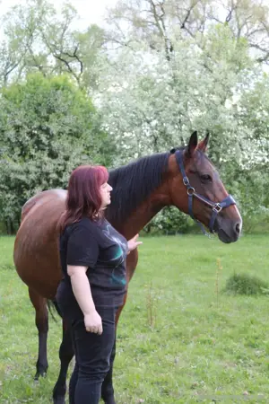 Pferd Pferd Bild 3