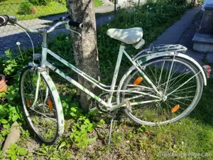 Damen Fahrrad