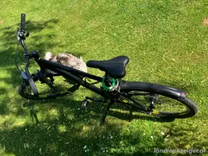 Mountainbike Jugendrad Marke Kraftstoff 26 Zoll  Bild 9