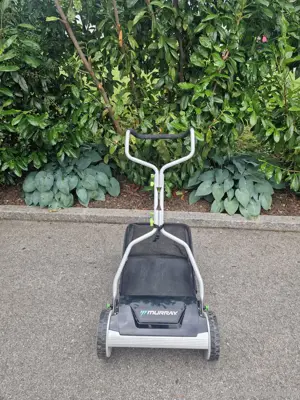 Spindelmäher mit Fangkorb Bild 2