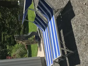 Verkaufe Elektrofahrrad Bild 4
