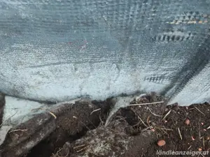 2 Leichtbeton Tröge XL  Bild 6
