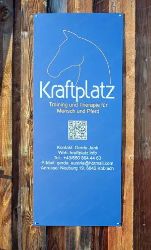 Vergebe Reitbeteiligung Islandwallach Bild 2