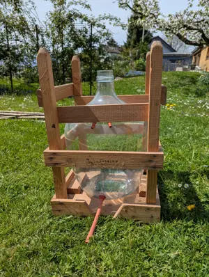 Glasballon im Holzgestell (ca. 25l) Bild 2