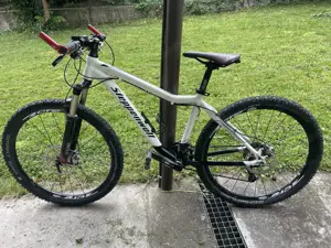 Steppenwolf Mountainbike 26 Zoll