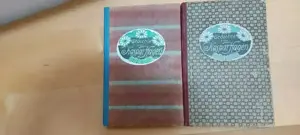 Kaspar Hagen Gedichte 2 Bücher 