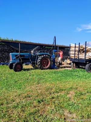 Traktor Hanomag Perfekt 401
