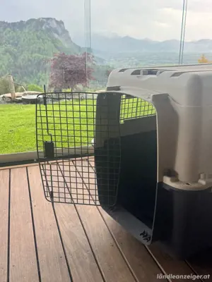 Hunde Transportbox Bild 3