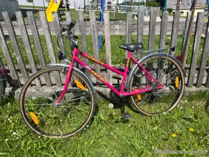 Damenrad Taifun Cosmos