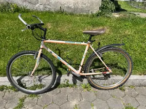 Mountainbike Taifun Spider