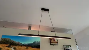 LED Hängeleuchte schwarz