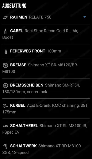 Radon Relate 9.0 750 Bild 9