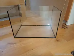 Terrarium Glas Bild 2