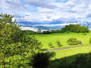 Suche abgelegene ruhige Wohnung oder Haus zur Miete
