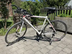 Fahrrad Simplon Nanolight Carbon, Sportbike, Fitnessbike