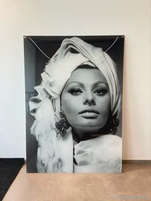 Bild Sophia Lauren