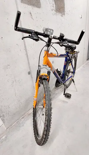 Fahrrad Herren , Kinder  Bild 3