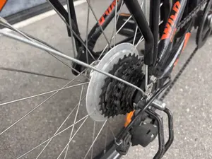 KTM Wild One Kinderfahrrad 20 Zoll Bild 4