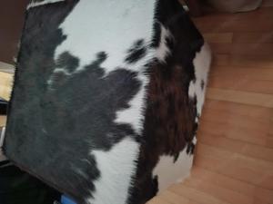 Fellhocker  Bild 2