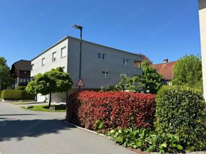 Familienfreundliche 145qm Wohnung plus 14qm Balkon zentrumsnah ruhig hell Bild 10