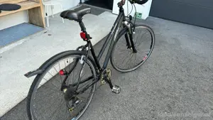 KTM Damenfahrrad Live Magic