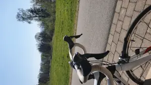 Rennrad Kardan K1 Bild 4