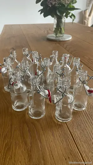 Flaschen mit Bügelverschluss