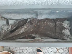 2 Leichtbeton Pflanztröge XL  Bild 8
