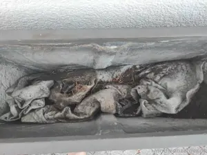2 Leichtbeton Pflanztröge XL  Bild 10