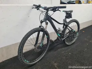 Mountainbike, Marke Cube