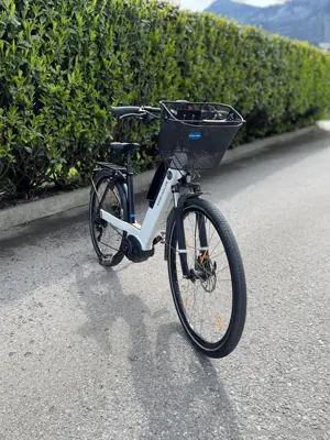 Fahrrad Riese & Müller Nevo E-Bike Bild 3