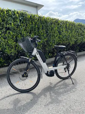 Fahrrad Riese & Müller Nevo E-Bike Bild 4