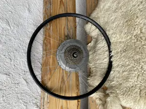 Bionx Motor 26  Felge Bild 3