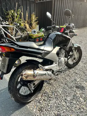 Yamaha YBR 250 schwarz!!! Bild 3