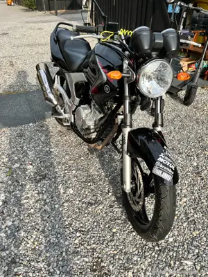 Yamaha YBR 250 schwarz!!! Bild 5