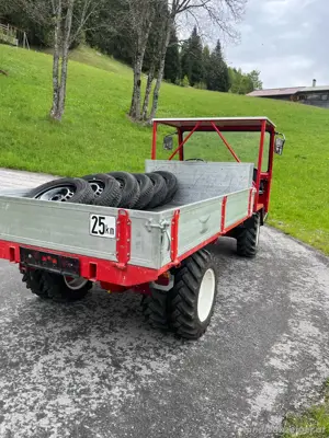 aebi tp35 schlepper Bild 5
